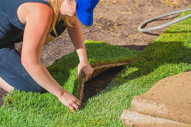 use fake grass for your backyard