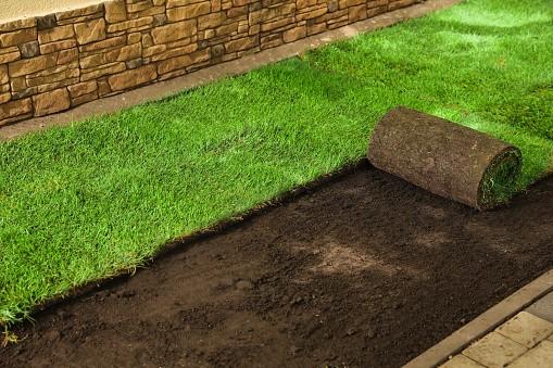 turf grass easy installation for your home