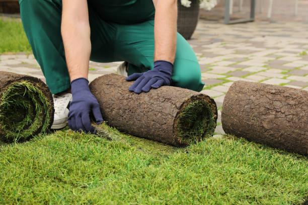 commercial and residential artificial turf installation san antonio